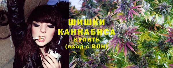 PSILOCYBIN Навашино