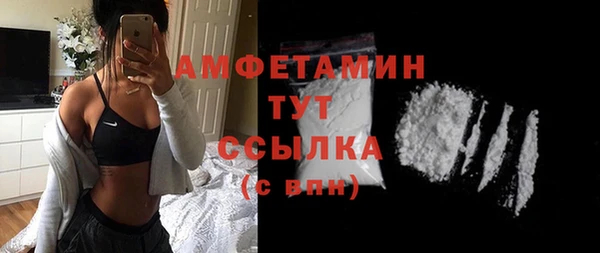сатива Гусев
