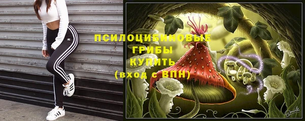 прущие грибы Гусь-Хрустальный