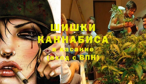 сатива Гусев