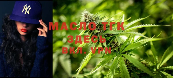 прущие грибы Гусь-Хрустальный