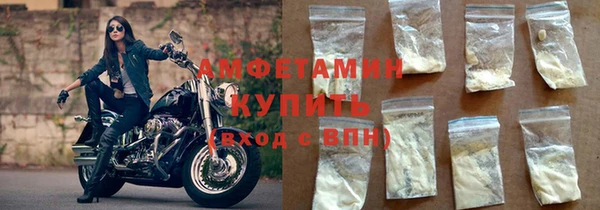 сатива Гусев