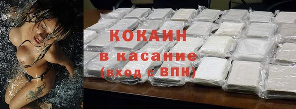 прущие грибы Гусь-Хрустальный