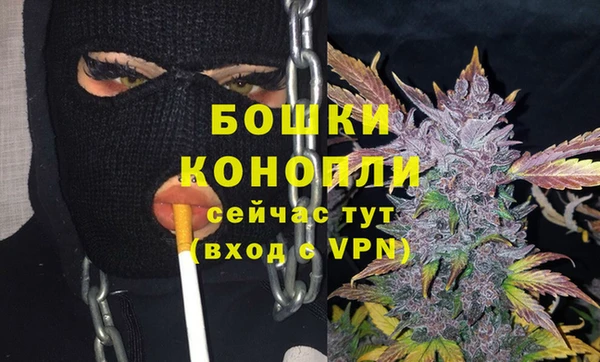 прущие грибы Гусь-Хрустальный