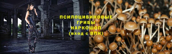 сатива Гусев