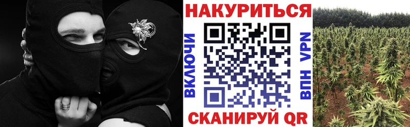 Конопля марихуана  купить   Жирновск 